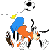 Taça de fel?
