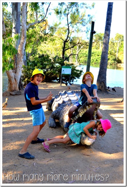 Billabong Sanctuary | How Many More Minutes?