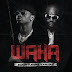 Diamond Pluntuniz feat. Rick Ross - Waka (AfroPop) 2o17 [Download Now]