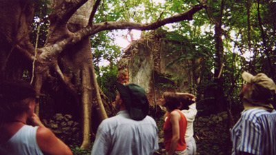 A group of white people looking up at trees and old stone or cement buildings.