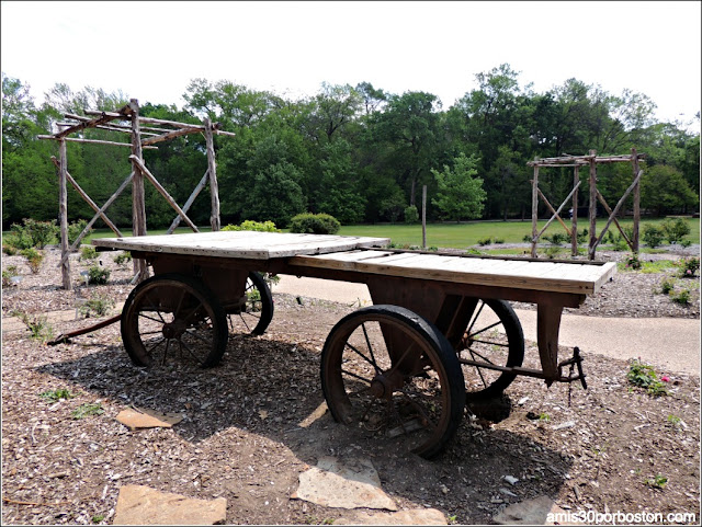 The Rose Garden: The Republic of Texas Miniature Rose Garden