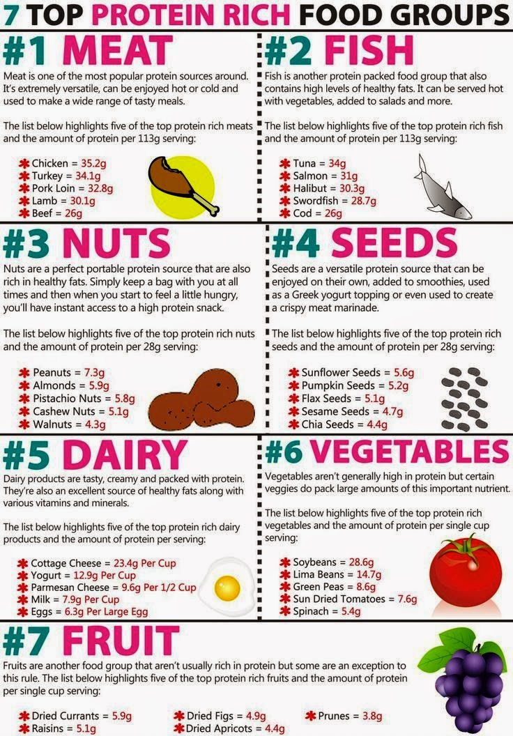 protein rich diet chart for weight loss