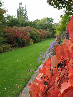 autumn leaves in the garden, Garden design London and Sussex