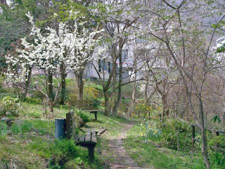 足湯「足ぽっぽ」 / 芦ノ牧温泉　(会津若松市)