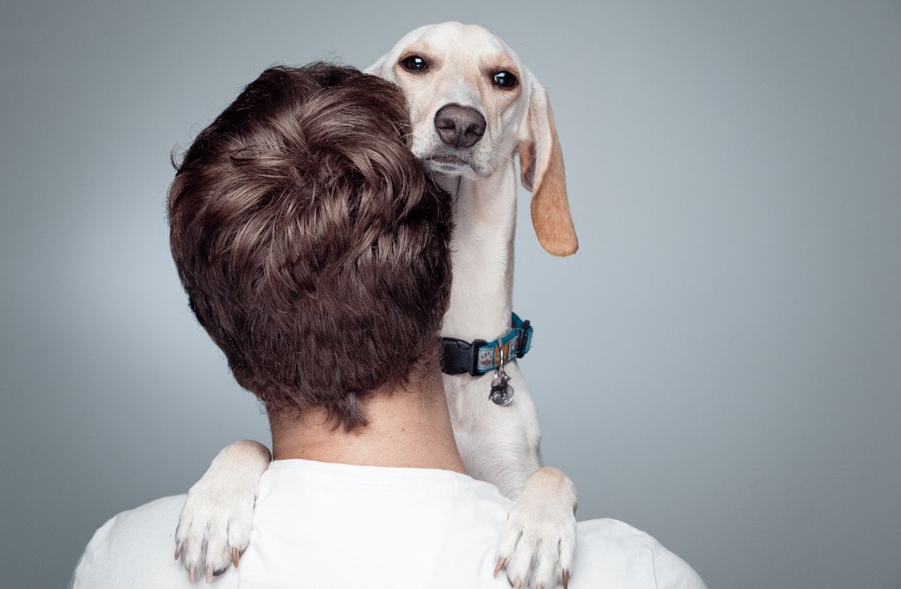 8 coisas sobre você que o seu cachorro sabe