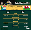 Springboks reached the Rugby World Cup semi-finals after beating Wales 23-19