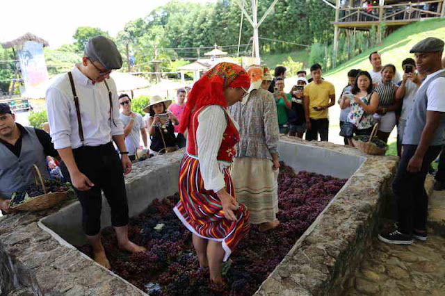 Evento tradicional da cultura portuguesa acontece em São Roque