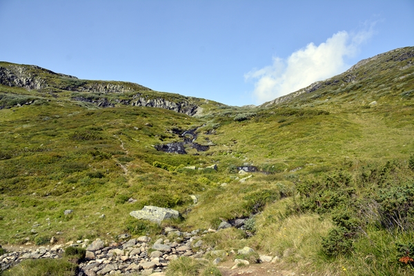 Iungsdalen Iungsdalshytta Tovika