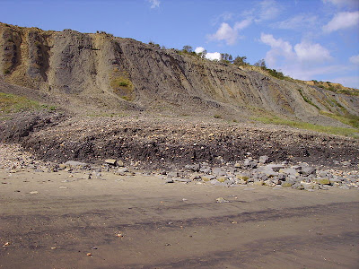 Landslip near Lyme regis in jurassic coast