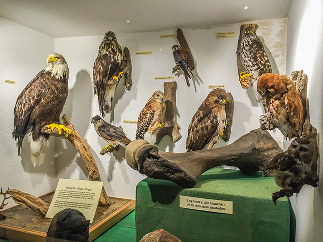 Museum on the Stoney Ridge Segment of the Ice Age Trail