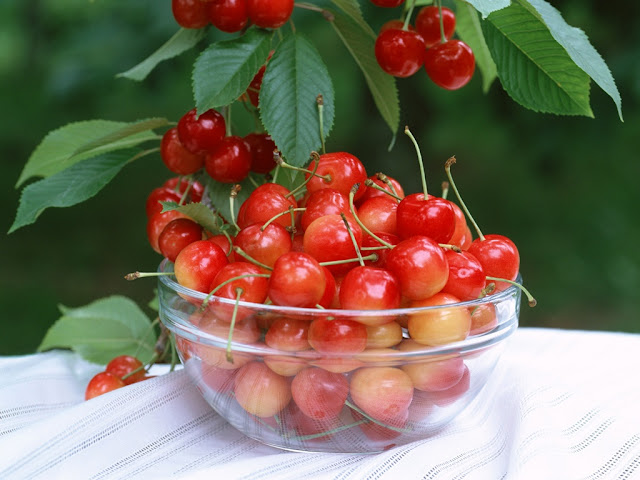 Hạt giống Anh Đào Cherry