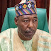 
2023: Power should shift to South, says Zulum

