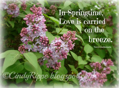 Lilacs, Song of Solomon 2-11-13, The scents of Spring, Love quote, Terri Guillemets quote, Florals-Family-Faith, Cindy Rippe