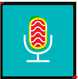 Echo Voice Recording App Pro Apk Download  For Android