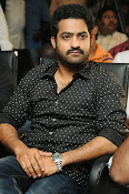 Jr NTR latest photos gallery-thumbnail-16