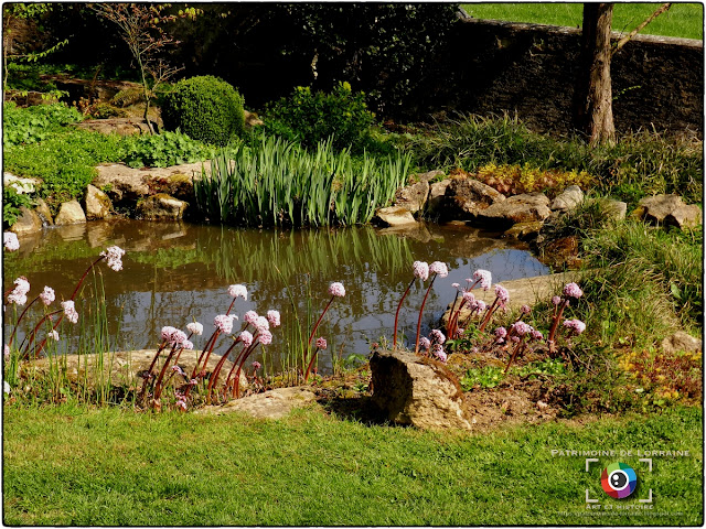 LAY-SAINT-CHRISTOPHE (54) - Jardin d'Adoué en avril !