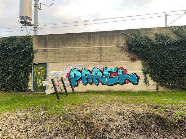 Graffiti 'Parel' op de wand van de Betuwelijn