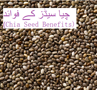 چیا سیڈز کے فوائد (Chia Seed Benefits)