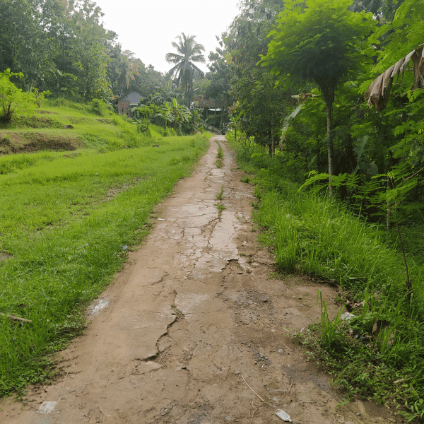 Jalan Pule - Wareng