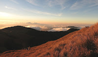 mt pulag