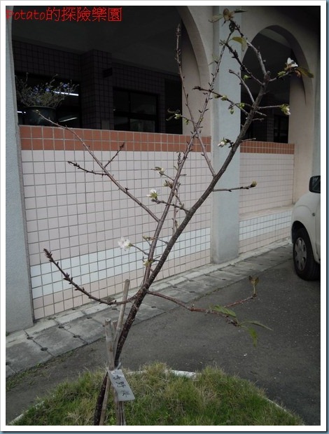 DSCN6414