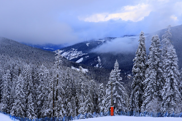 Ilgaz Kayak Merkezi