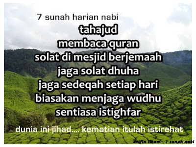 Love Quotes of Muslimah: Sunnah Nabi Muhammad S.A.W