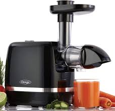 Omega Cold Press 365 Juicer H3000D