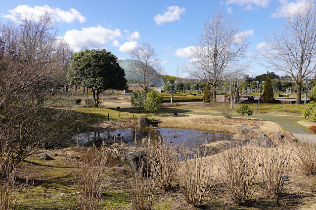 鳥取県西伯郡南部町鶴田 とっとり花回廊