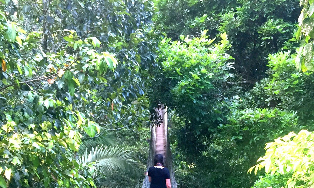 Inkaterra Reserva Amazonica Lodge, Peru