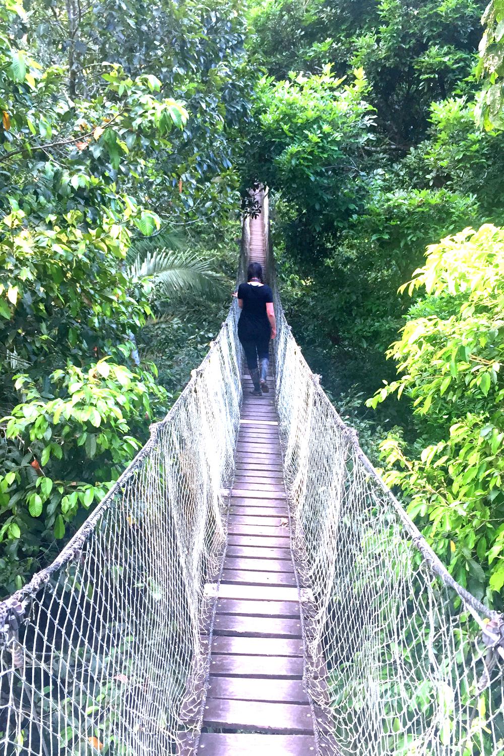 Inkaterra Reserva Amazonica Lodge, Peru