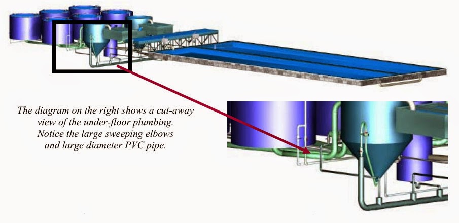 10 Thoughts on Aquaponics System Design ~ Aquaponics Systems