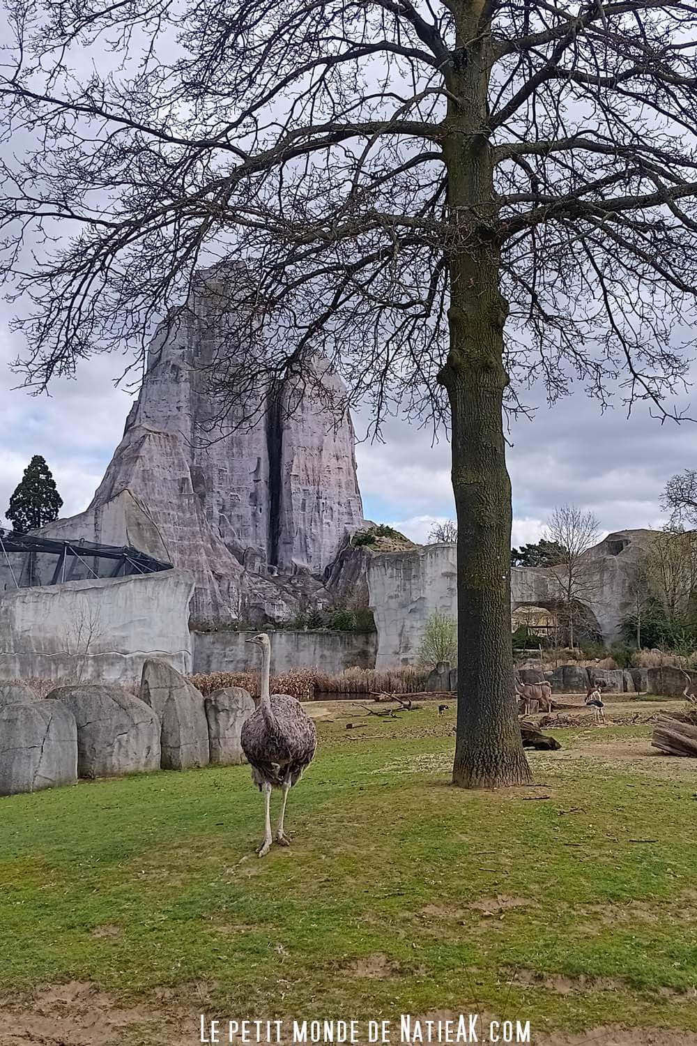 Grand rocher du parc zoologique Paris