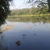 Kodanad Elephant Training Centre