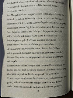 Die Hexe von Hitchwick, Angela Gaede, Fantasybuch, Geheimgesellschaft