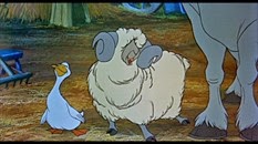 20 le mouton