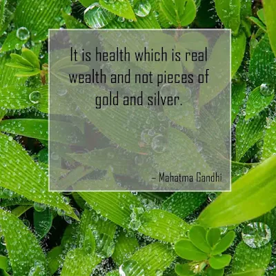 Best Good Health Quotes