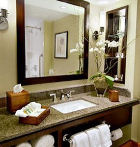 Guest Bathroom Ideas on You  Me And Our Spoo Make Three  Guest Bathroom Reno Ideas