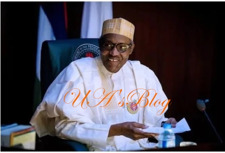 2019 presidency: I’m yet to see anyone who can defeat ‘old man’ Buhari – Rep Kazaure