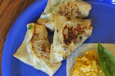 Italian Sausage and Spinach Potstickers