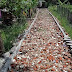 Proyek Paving blok  Kp. Lombang  Rt 001/ 007 Desa Cempaka  Kec. Cisoka Puing Bobokan Rumah Kok di Ampar di badan Jalan...?"