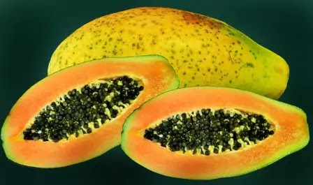 पपीता के गुण एवं फायदे-paipita papaya ke gun fayde benefits in hindi