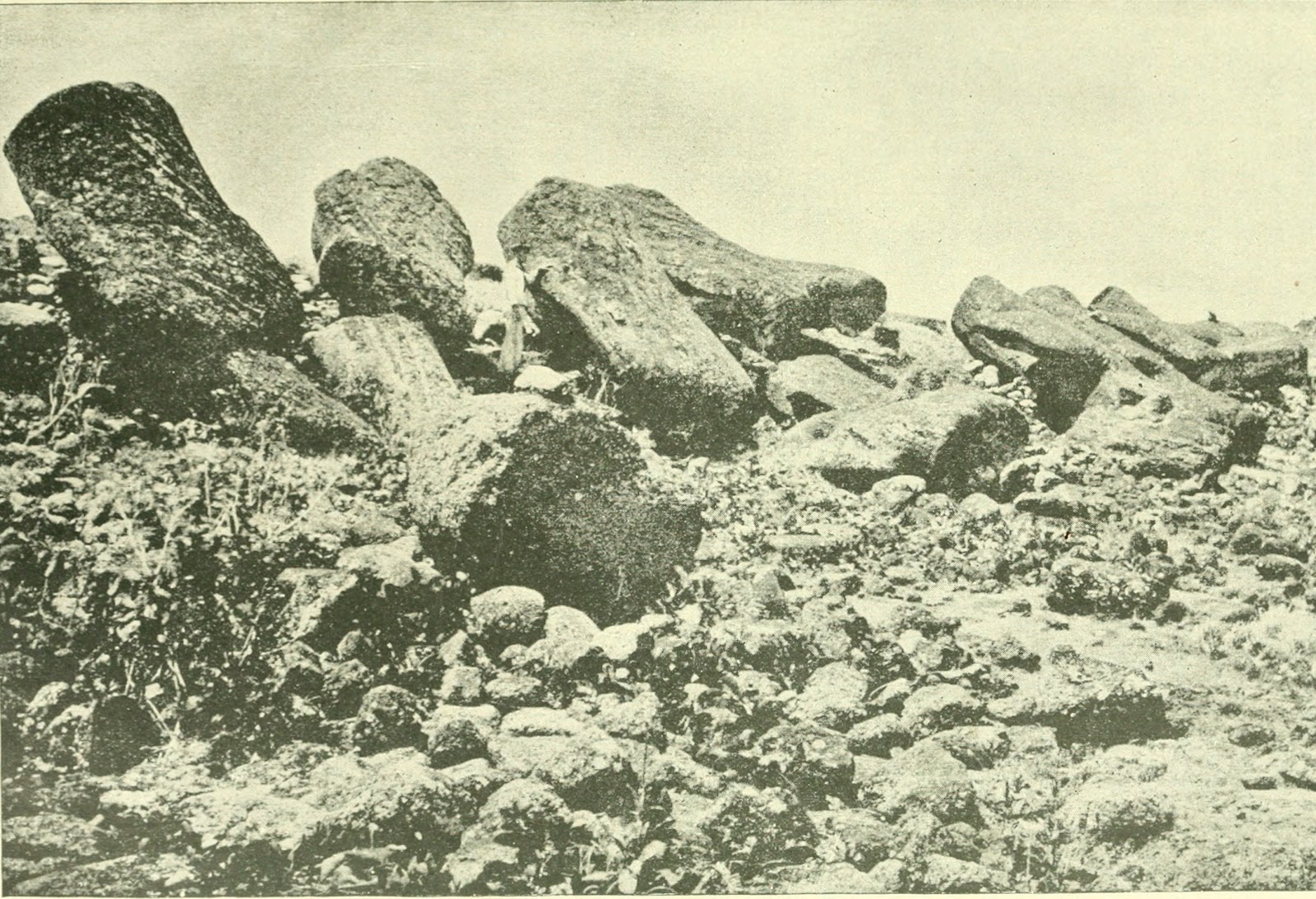 イースター島のアフ・トンガリキの横倒しになった幾つものモアイ