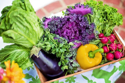 Cara Memasak Terbaik Agar Nutrisi Sayuran Tidak Hilang, Direbus atau Dikukus?
