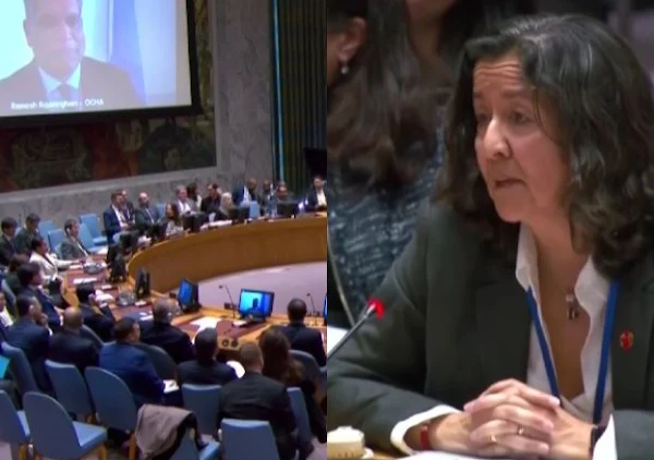 Moment 4.8-Magnitude Earthquake Shook Building And Interrupted UN Security Council Meeting (Video)