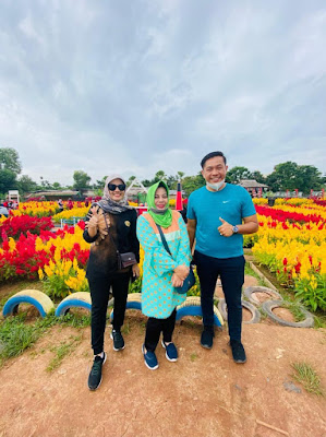 Taman Bunga Celosia Spring Hill Destinasi Wisata Baru di Alang-alang Lebar