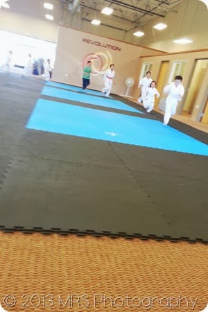 IMG_20130717_171011