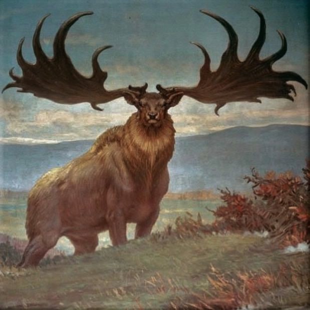 The giant elk