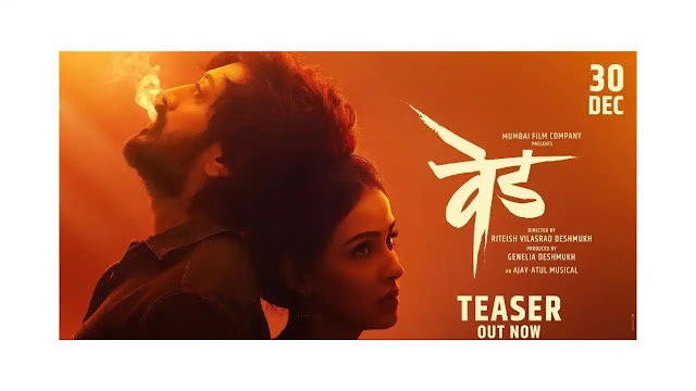 Download Ved Marathi Movie