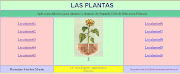 Las plantas también son seres vivos, es decir, tienen su ciclo vital: nacen, . (plantas eval)